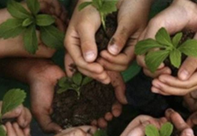 Attività Orticolturali